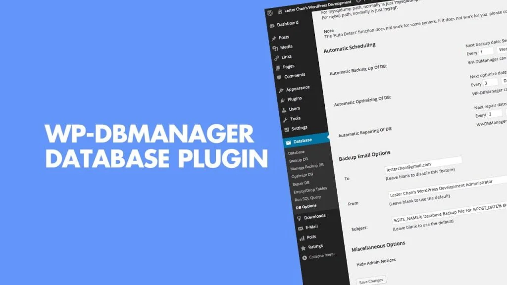 WP-DBManager